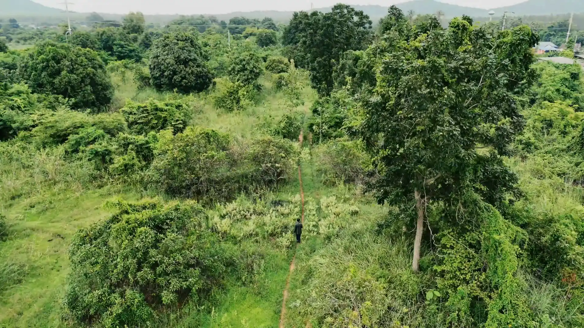 Nature