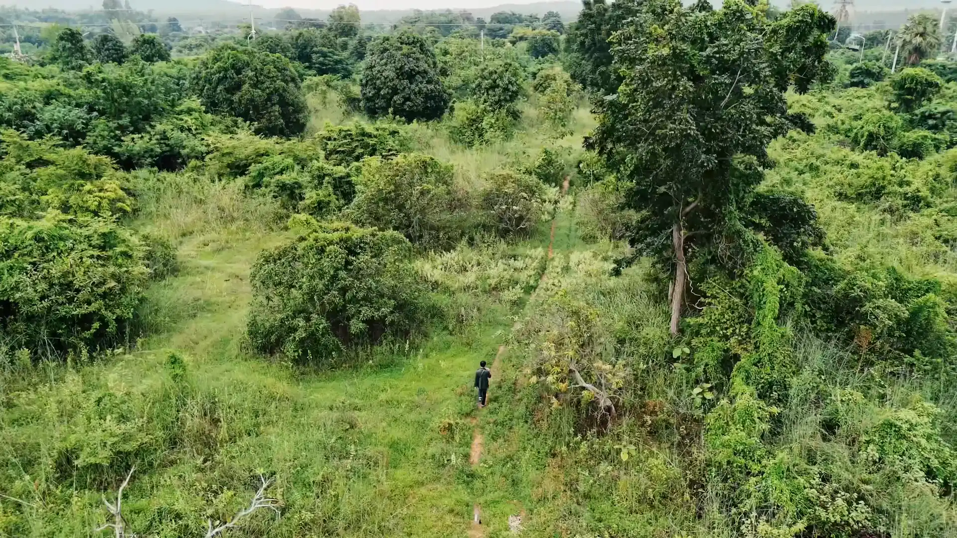 Nature