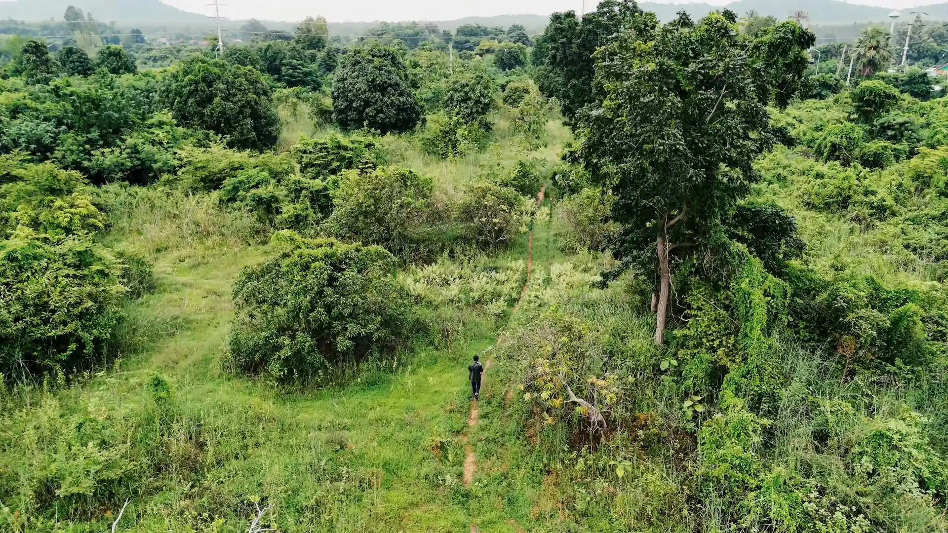 Farm