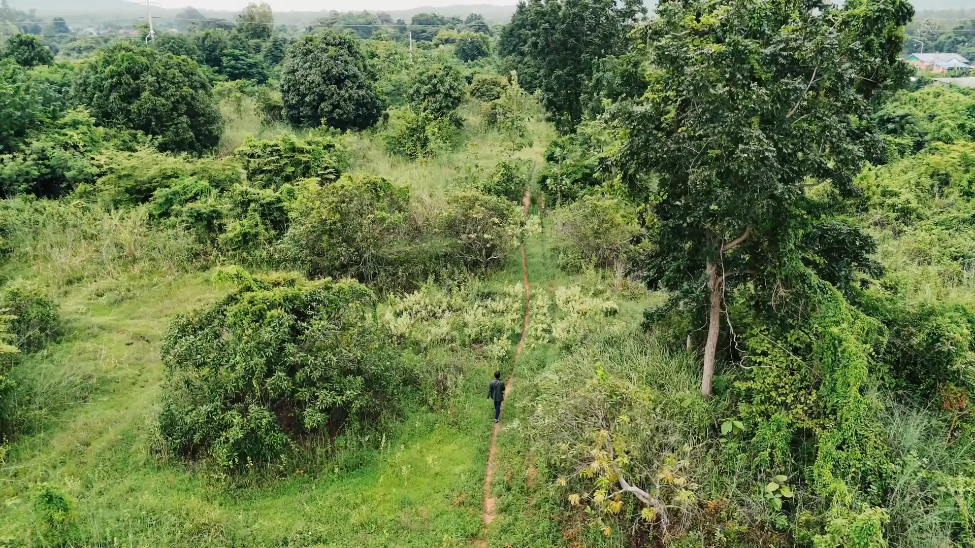 Drone View
